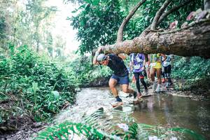 BIB: 
                            <button type="button" onclick="openModal(25455688)" class="btn btn-primary btn-sm float-right btn-popup" data-toggle="modal" data-target=".modal-high-quality">
                        <i class="fas fa-shopping-cart"></i> Add to Cart
                    </button>
                                            <button type="button" onclick="isThisMe(25455688, true)" class="btn btn-success btn-sm float-right btn-popup btn-isme hidden" data-toggle="tooltip" data-placement="bottom" title="นี่คือรูปของคุณใช่ไหม คลิกที่นี่เพื่อเอาเข้าอัลบั้ม">
                        <i class="fas fa-plus"></i> Add to album
                    </button>
                    <button type="button" onclick="isThisMe(25455688, false)" class="btn btn-warning btn-sm float-right btn-popup btn-isnotme hidden">
                        <i class="fas fa-ban"></i> Remove from album
                    </button>